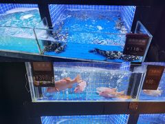 -徐记海鲜(汉城湖|太奥店)