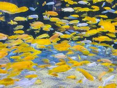 -成都浩海立方海洋公园