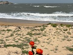 -湄洲岛
