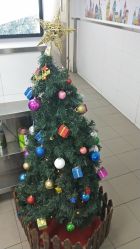 -宝大祥青少年儿童购物中心(普陀中环店)