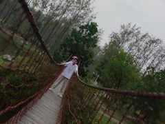 -合肥滨湖国家森林公园