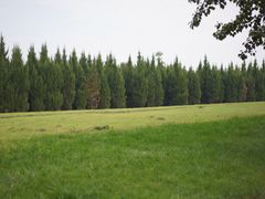 -汉长安城未央宫国家考古遗址公园