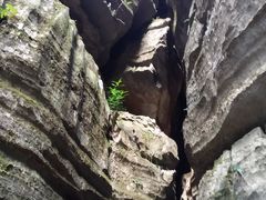 -梭布垭石林景区