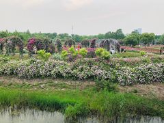 -尚贤河湿地