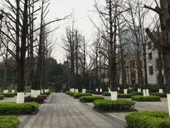 -两江幸福广场