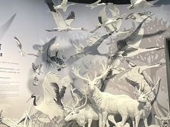 -中国湿地博物馆
