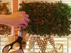 -威斯汀舞台餐厅