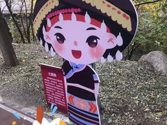 -北京凤凰岭
