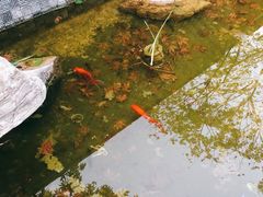 -川流不息(北蔡休闲广场店)