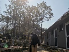 -罗坑大草原