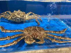 -帝皇海海鲜豆捞(桐泾商务广场店)