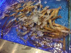 -SEA西雅图海鲜自助餐厅(正义店)