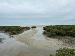 -北海金海湾红树林生态旅游区