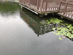 -苏州河梦清园环保主题公园