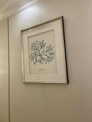 -茜尔维亚修身连锁(杨浦五角场店)