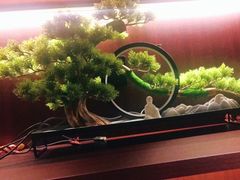 -聆耳·采耳·按摩·SPA(会展中心店)