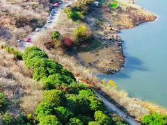 -广州市流溪河国家森林公园