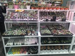 -KKV(深圳宏发大仟里店)