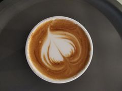 摩卡-red donkey coffee