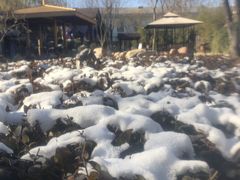 -国御温泉度假小镇