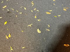-成惠食府(赤岗店)