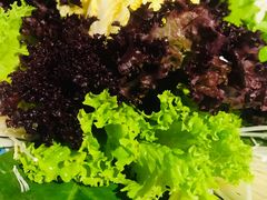 -青瓷火锅料理(西单大悦城店)
