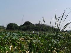 -梁鸿国家湿地公园