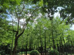 -晓港公园