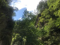 -茅兰沟国家森林公园