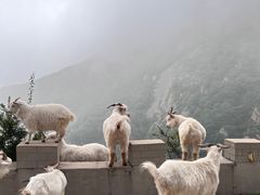 -白草畔自然风景区