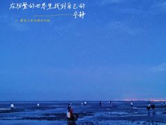 -南汇新城海滩