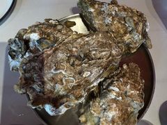 -蚝堡海鲜·威海菜·海肠捞饭·烧烤·亚洲吃蚝公司(幸福门店)