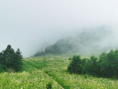 -白草畔自然风景区