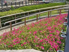 -苏州河梦清园环保主题公园