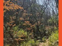 -虞山风景区