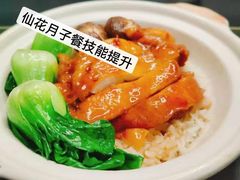-臻爱住家月嫂育儿嫂(万达店)
