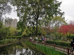 -望江楼公园