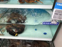 -盒马鲜生(大成店)
