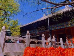 -红螺寺