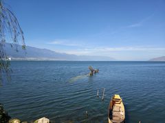 -野菌皇海景野生菌火锅(滨海大道店)