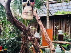 -呀路古热带植物园
