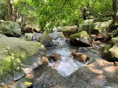 -梧桐山风景名胜区