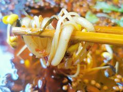 -鸿顺老铁锅美蛙鱼府(解放碑店)