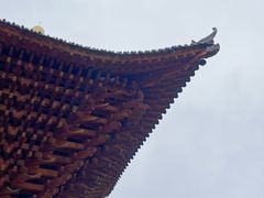 -白鹿原·白鹿仓