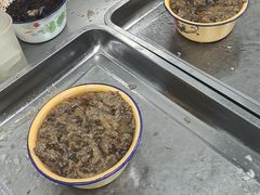 -定家小酥肉·清真(回民街店)