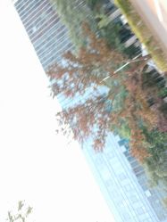 -小颜秘家·韩国整骨