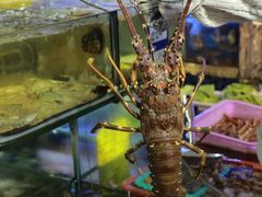 -友强·23年特色海鲜大排档(厦门店)
