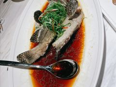老虎斑-聚丰园.百年传承(五爱广场店)