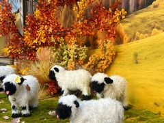 -二刀潮牛(重庆光环购物公园店)