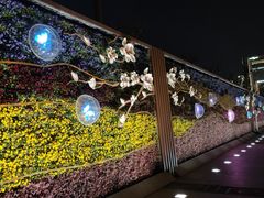 -花马天堂云南餐厅 Lost Heaven(外滩店)